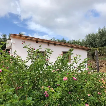 Bed and breakfast Lo Sguardo Sul Golfo