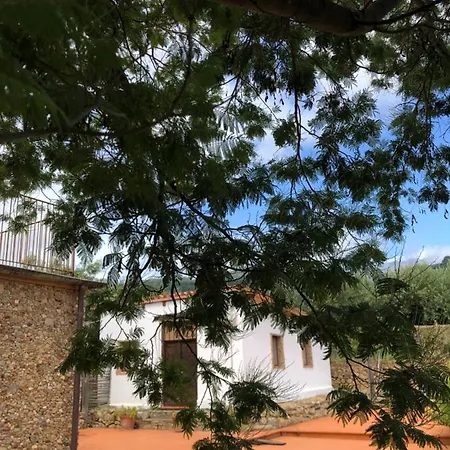Lo Sguardo Sul Golfo Gizzeria